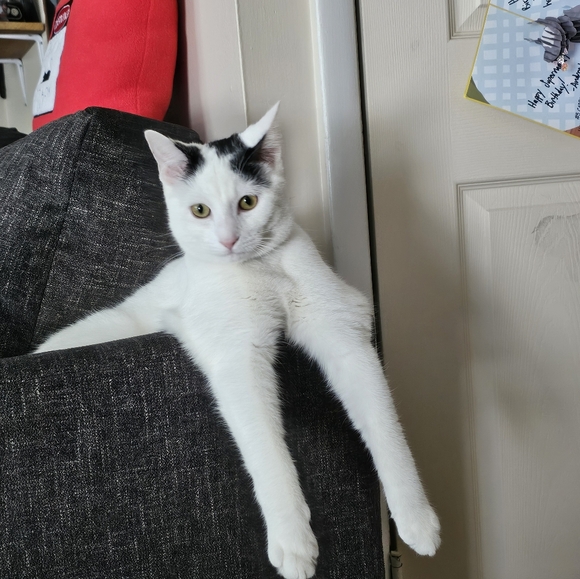 Meet your Posher, Ellen - Picture 4 of 5